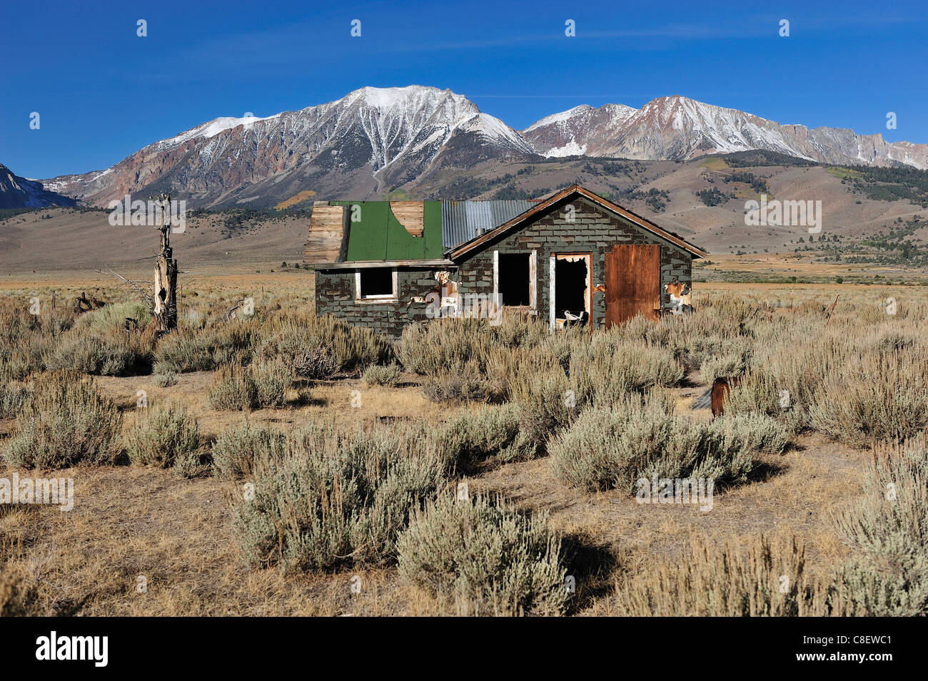 Abandoned, wood shack, near Lee Vining, California, USA, United States, America, hut, landscape, mountains, bushes Stock Photo