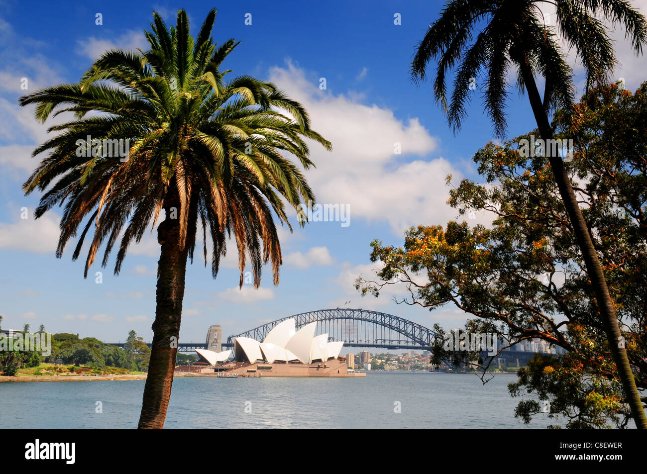 Sydney Opera House and Harbour bridge in Australia seen from the botanical gardens Stock Photo