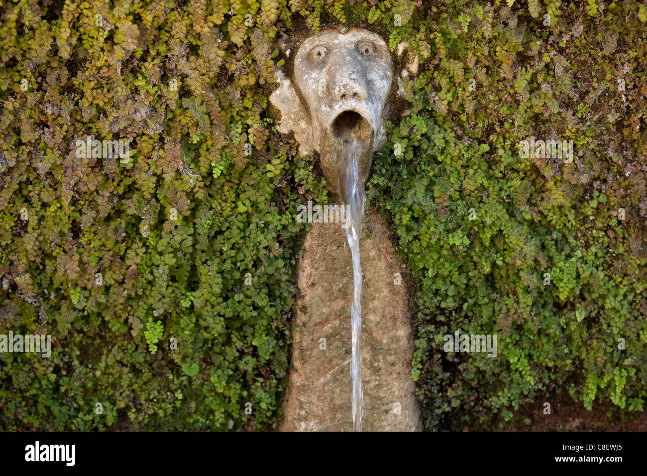 Detail of the fountain of the 100 faces in Villa D'Este, Tivoli, Lazio, Italy Stock Photo