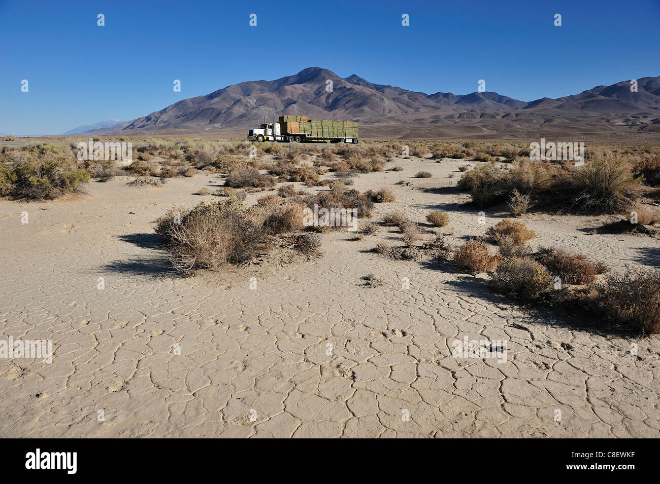 Truck, straw bales, desert, bushes, transport, near Big Pine