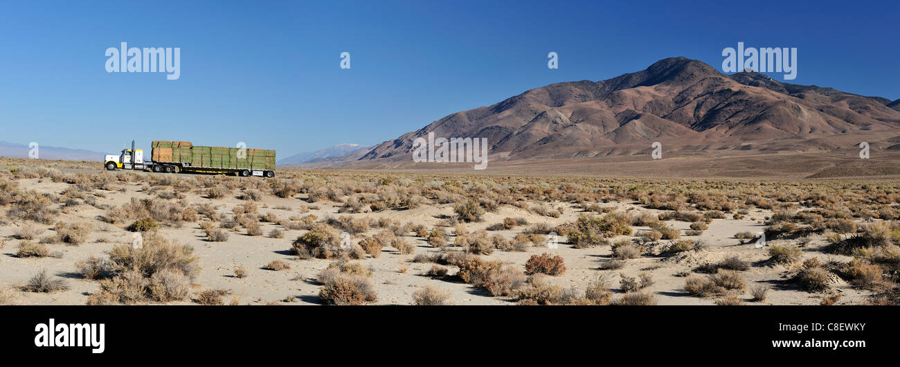 Truck, straw bales, desert, bushes, transport, near Big Pine, California, USA, United States, America, Stock Photo