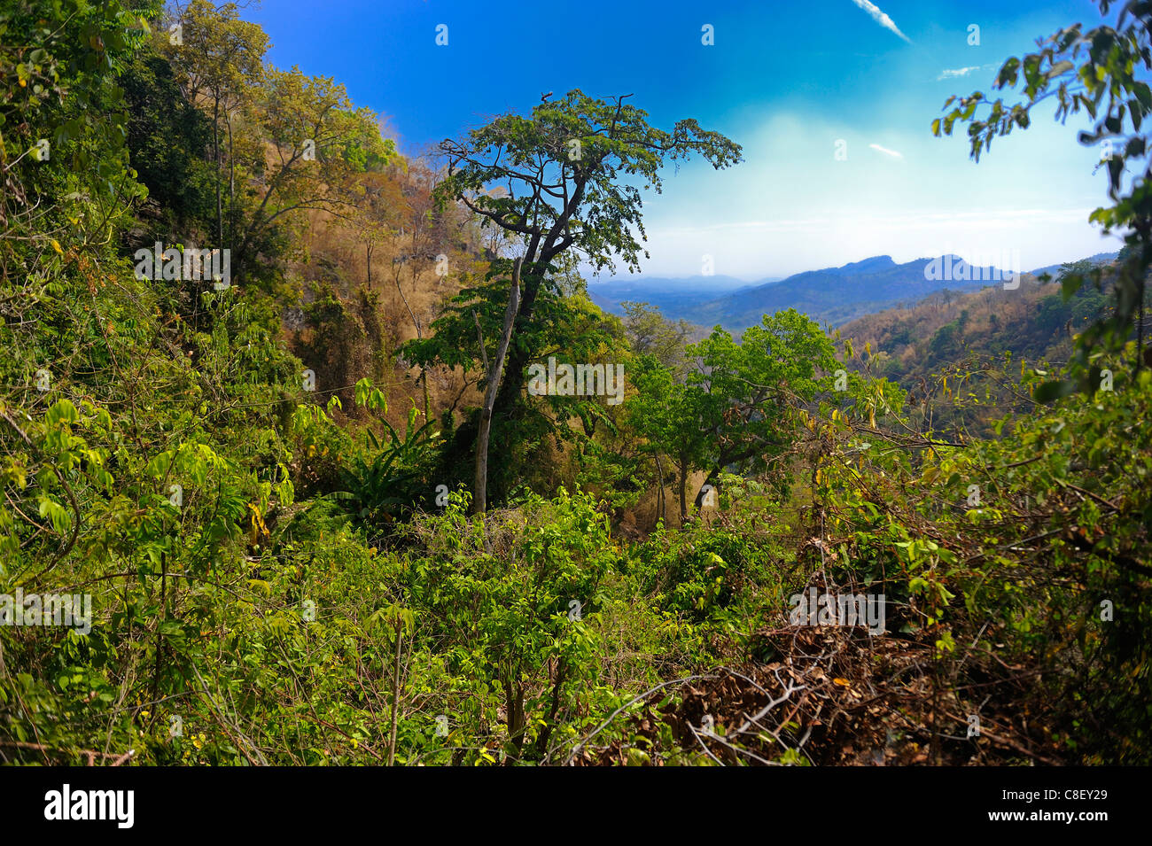 View, overlook, Chaolem Rattanakosin, National Park, Thailand, Asia, forest, trees, Stock Photo