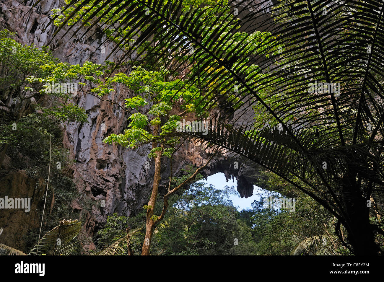 Tham Lod Yai, Cave, Chaolem Rattanakosin, National Park, Thailand, Asia, trees Stock Photo
