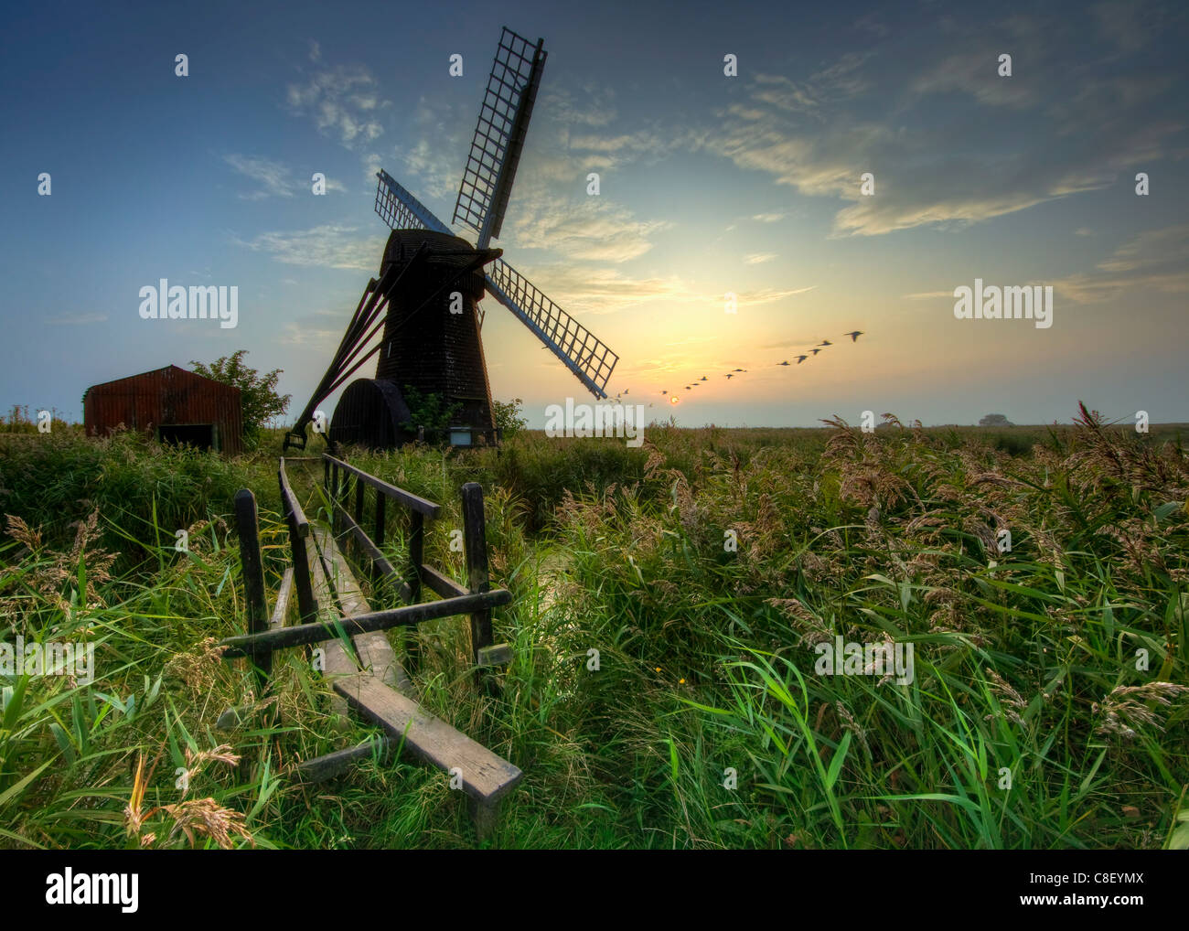 Autumn dusk at Herringfleet, Suffolk, England, United Kingdom Stock Photo