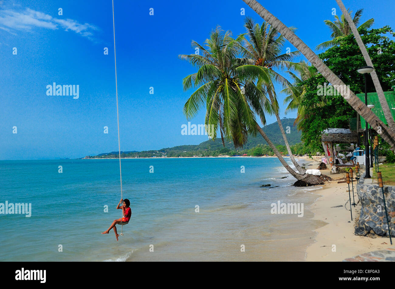 Laem Nan, Beach, Koh Samui, Thailand, Asia, palm tree, rope, Stock Photo