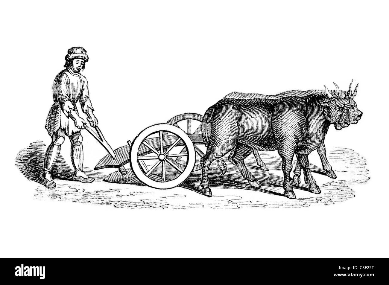 Anglo Saxon ploughing plough plow oxen tool farming cultivation soil sowing seed planting history agriculture harrowed farmer Stock Photo