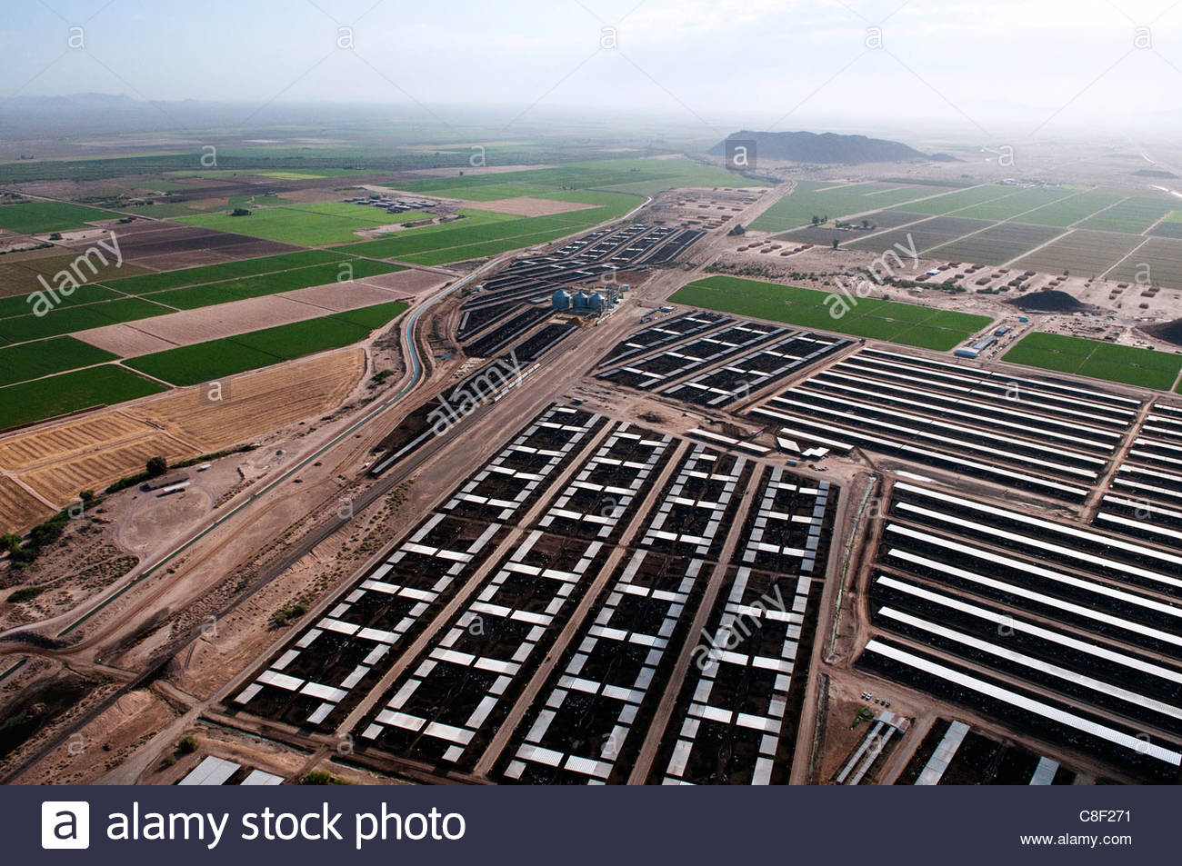Feedlots Cattle Stock Photos & Feedlots Cattle Stock Images Alamy