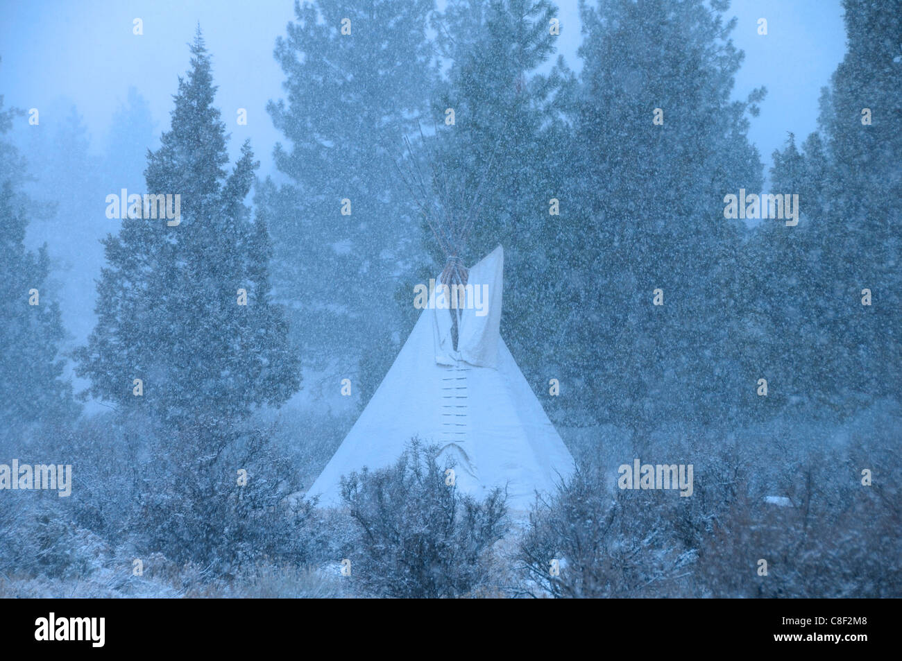 Tipi, snow, High Desert, Oregon, USA, United States, America, Stock Photo
