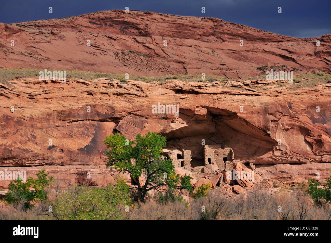 Cliff dwelling, Anasazi, Ruin, Monticello, River House, San Juan River, Bluff, Colorado Plateau, Utah, USA, United States, Ameri Stock Photo