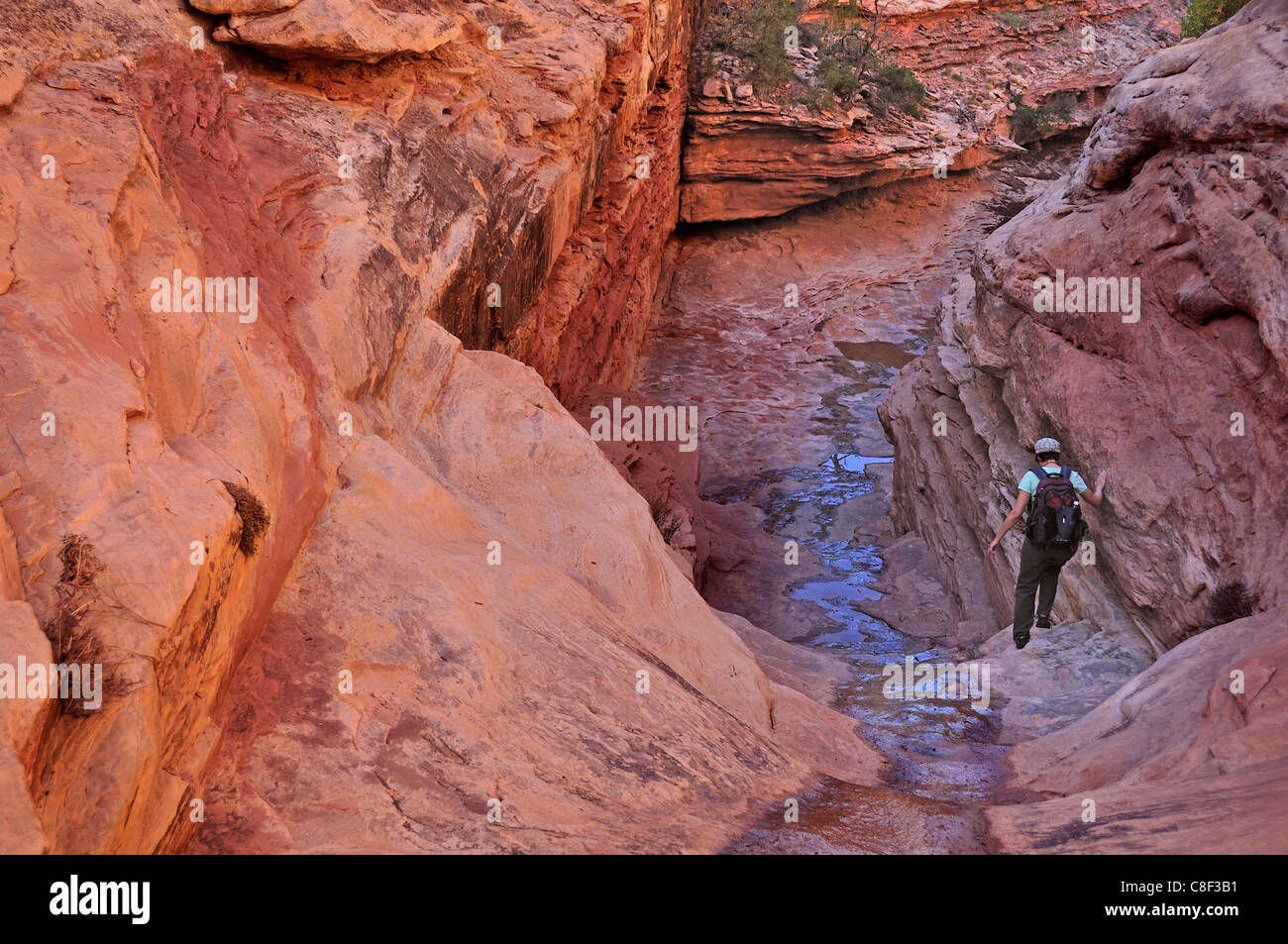 Hiking, Bullet Canyon, Grand Gulch, Primitive Area, Cedar Mesa, Colorado Plateau, Utah, USA, United States, America, Stock Photo