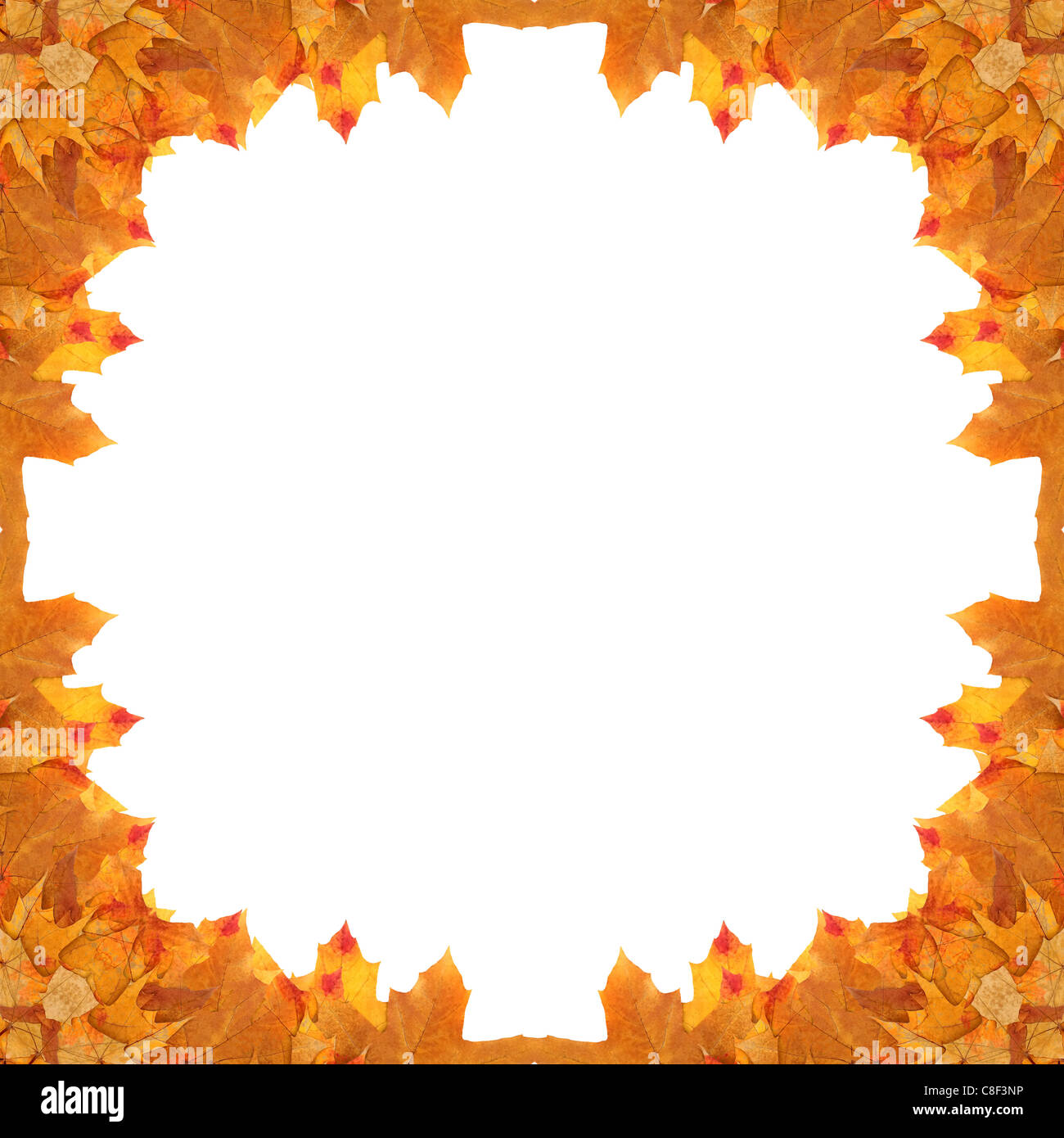 frame maple leaves Stock Photo - Alamy