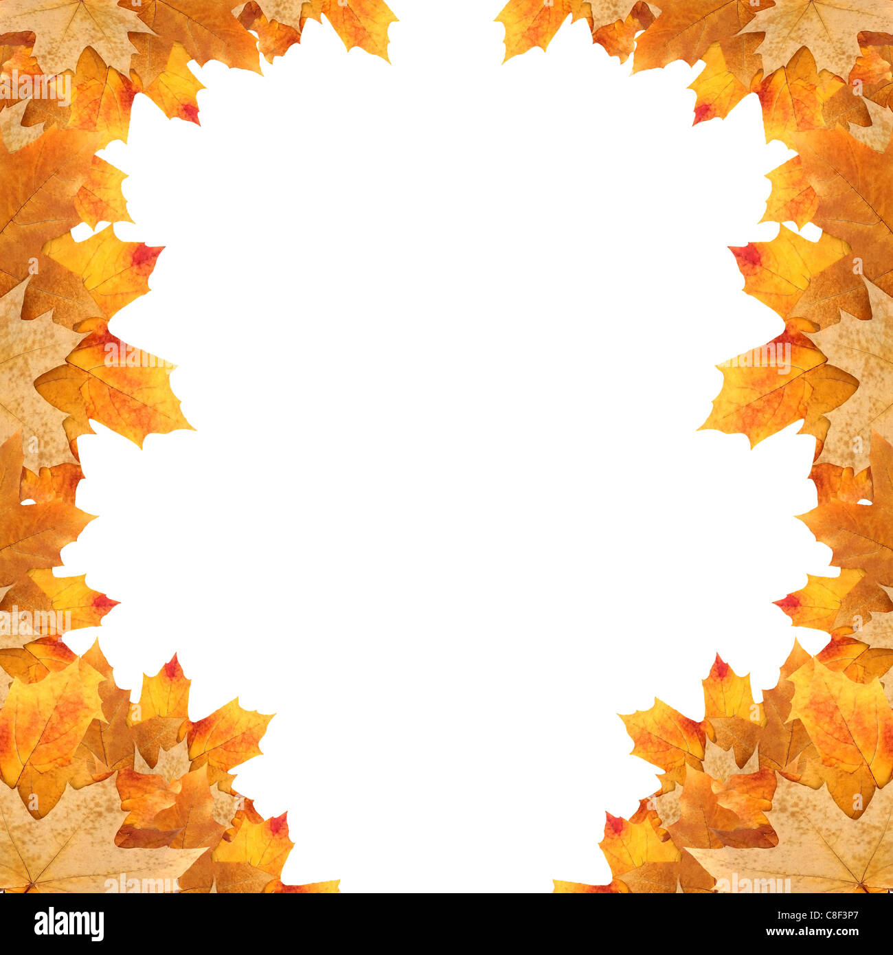 frame maple leaves Stock Photo - Alamy