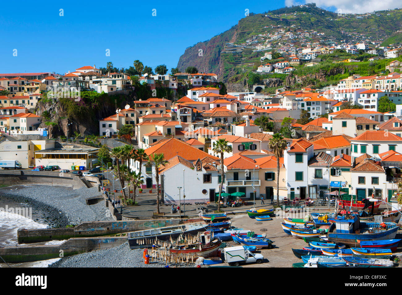Camara de Lobos, Portugal, Europe, Madeira, town, city, coast, houses, homes, palms, boats, fishing boats, harbour, port, Stock Photo