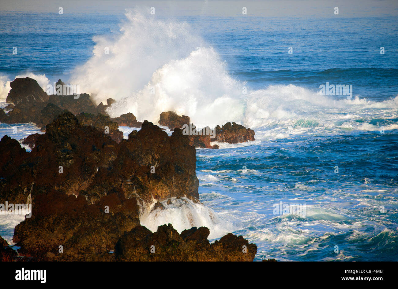 Porto Moniz, Portugal, Europe, Madeira, coast, sea, Atlantic, water, waves, foam, element, natural force, energy, rock, cliff, Stock Photo
