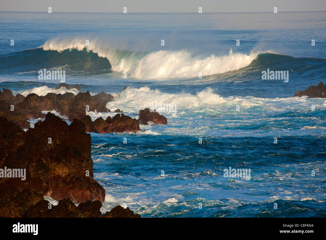 Porto Moniz, Portugal, Europe, Madeira, coast, sea, Atlantic, water, waves, foam, element, natural force, energy, rock, cliff, Stock Photo