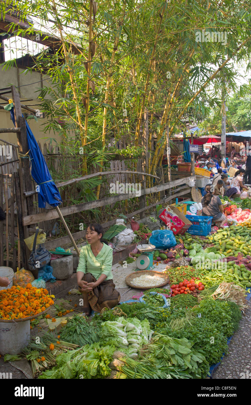 Vegetables for sale under a bamboo patch, at the Morning Market, Luang Prabang, Laos Stock Photo