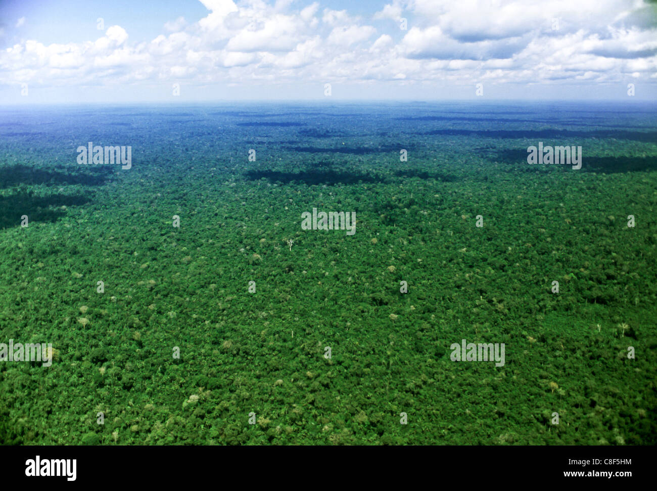 Amazon rainforest aerial expanse hi-res stock photography and images ...