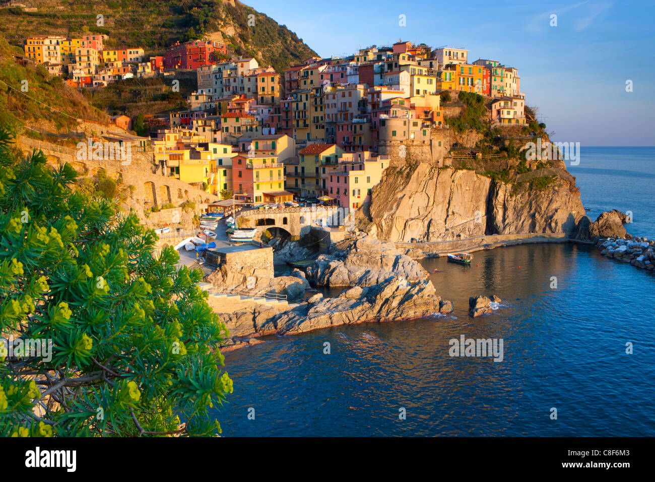 Manarola, Italy, Europe, Liguria, Cinque Terre, sea, Mediterranean Sea