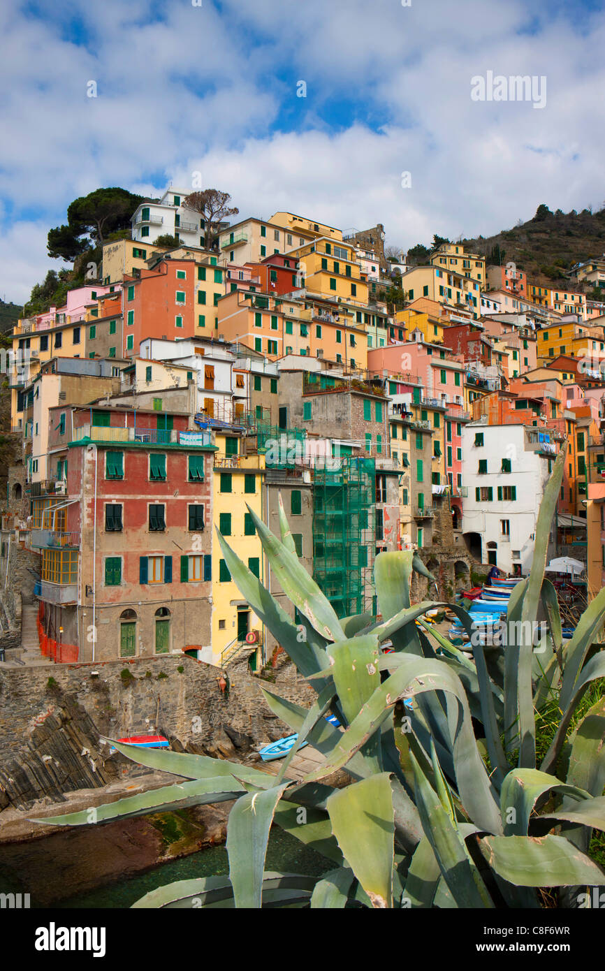 Riomaggiore, Italy, Europe, Liguria, Cinque Terre, coast, steep coast, village, houses, homes, agave Stock Photo