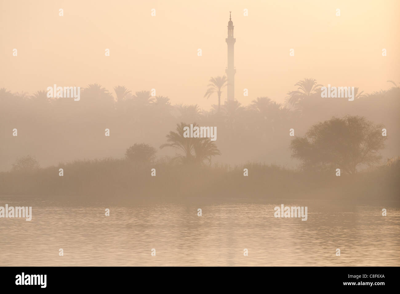 A section of Nile river bank with heavy mist creating muted colour layers, water trees, palms and mosque minaret, Egypt Africa Stock Photo