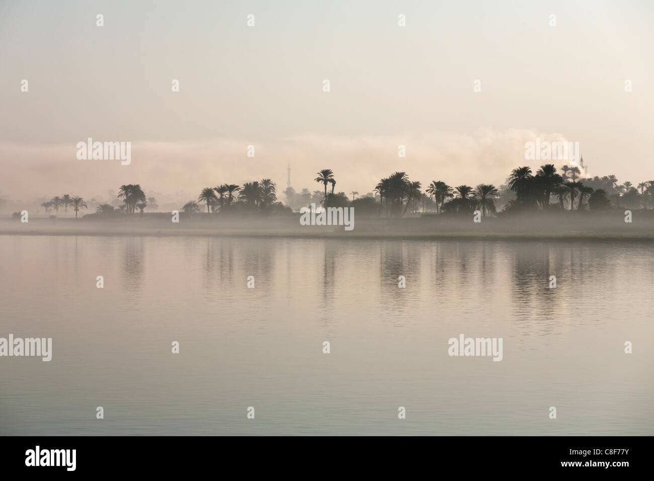 A section of Nile river bank with heavy mist creating muted colour layers, water trees, palms, mosque minaret, and  smoke, Egypt Stock Photo