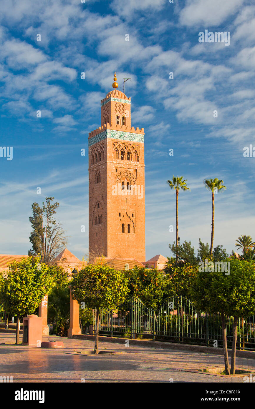 Morocco, North Africa, Africa, Marrakech, Koutoubia, mosque, Koutoubia, tower, rook, trees Stock Photo
