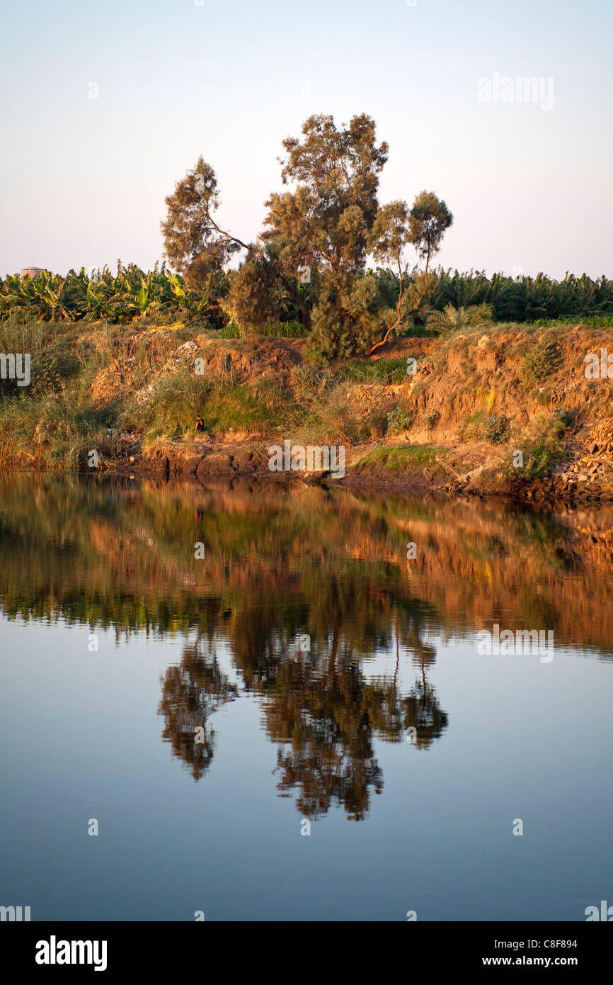 Small section of Nile river bank showing a tree on a grassy bank bathed in golden light with mirror imaged reflection Stock Photo