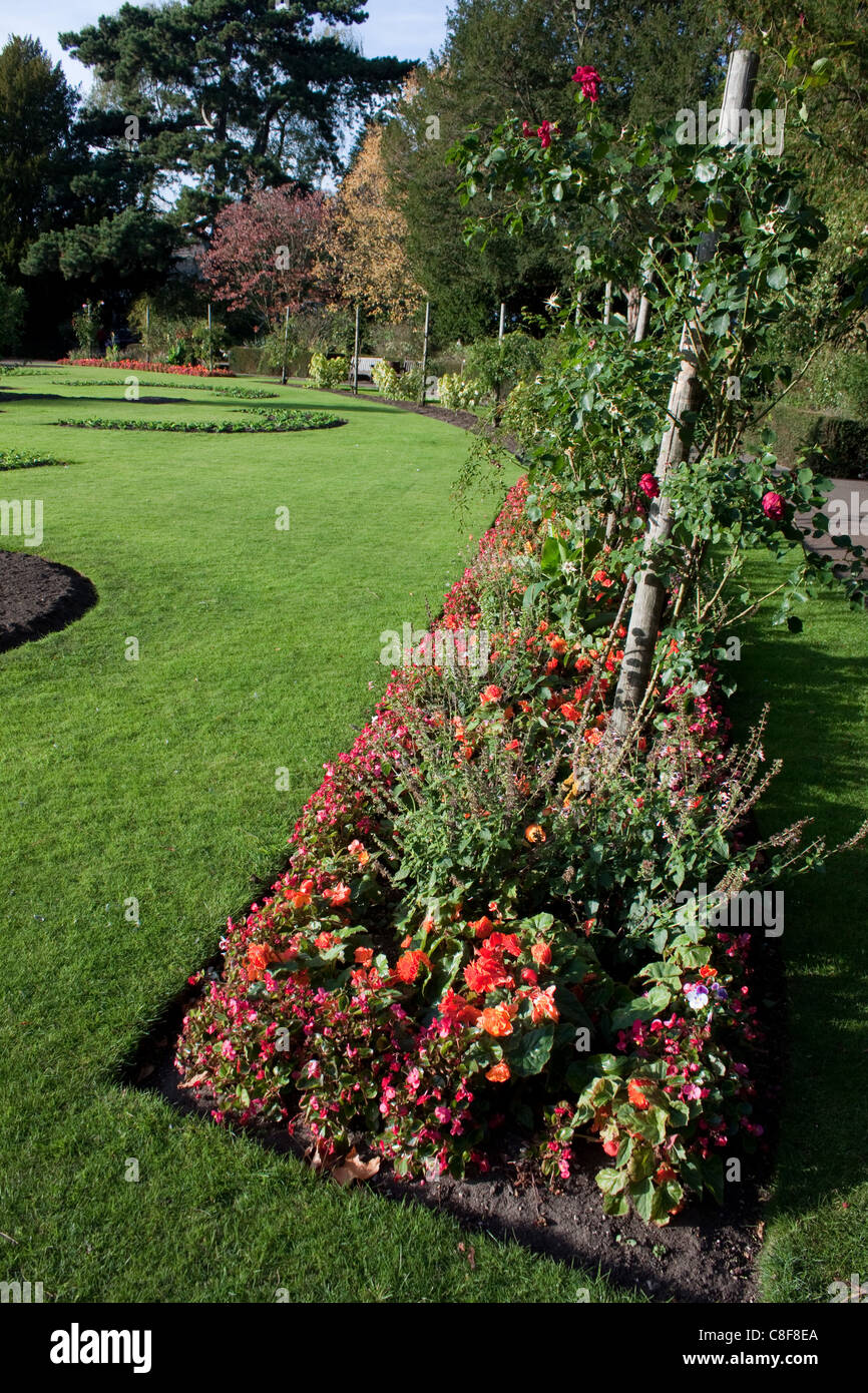 The Abbey Gardens in Bury St. Edmunds, Suffolk. Here the summer bedding displays come to an end in the autumn Stock Photo