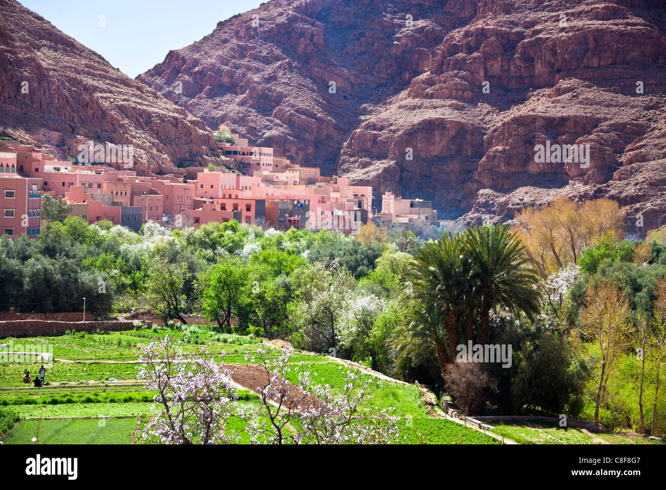 Morocco, North Africa, Africa, Southern Morocco, atlas, mountains, mountains, Tinghir, Todra, valley, village Stock Photo