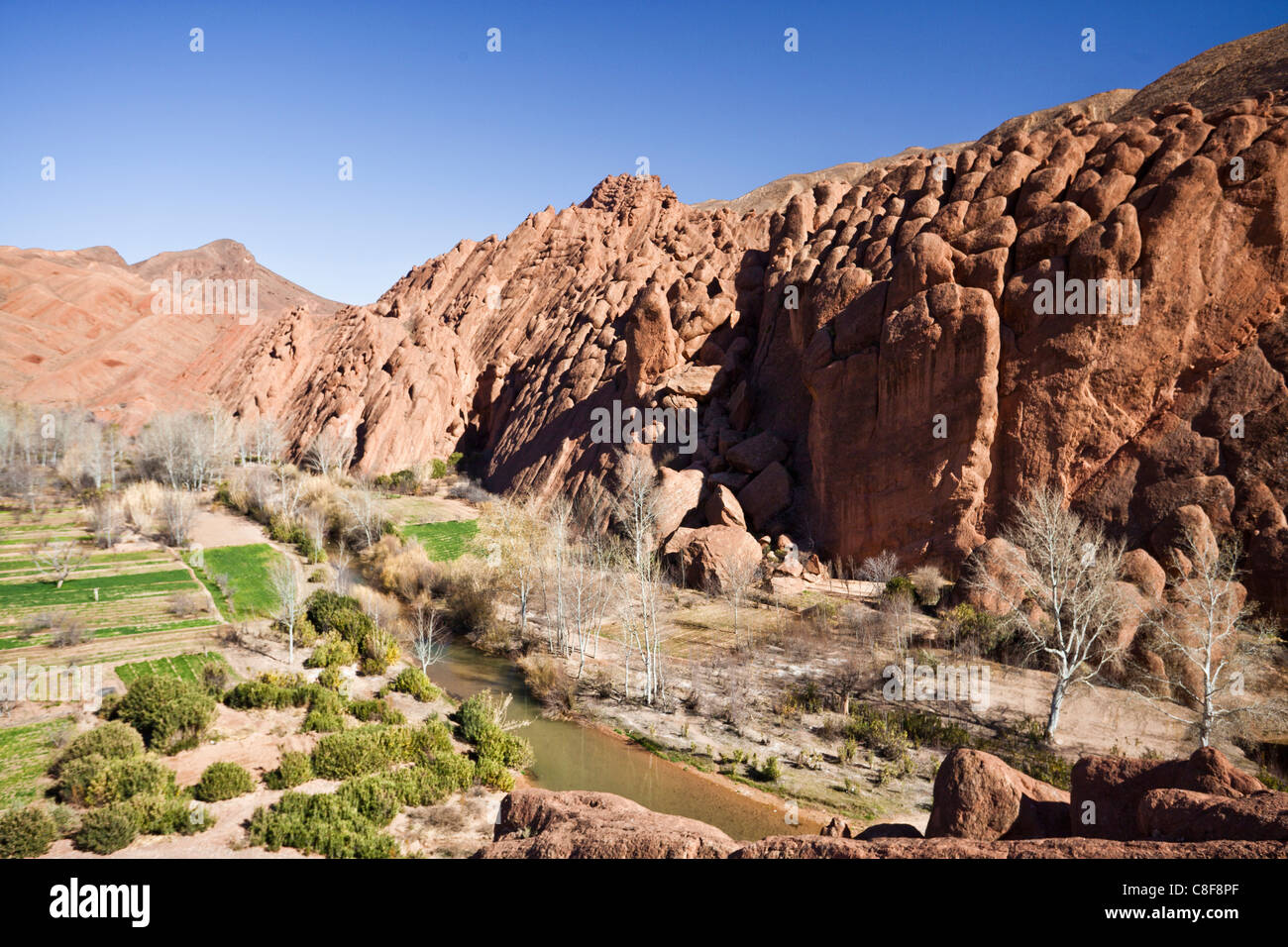 Morocco, North Africa, Africa, Southern Morocco, atlas, mountains, mountains, Dades, valley, cliff, agriculture Stock Photo