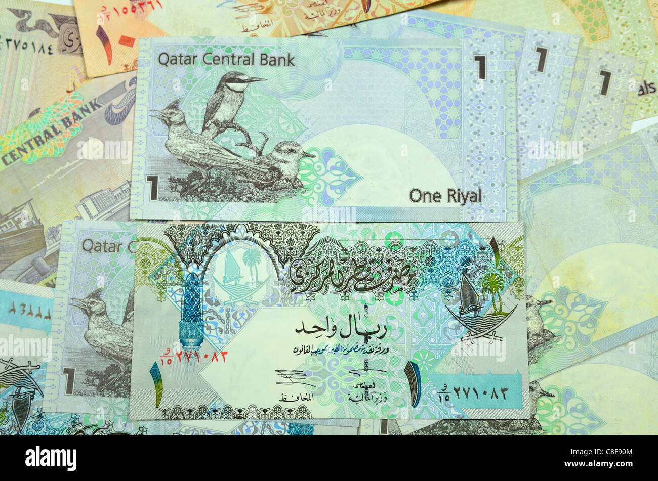 Qatari Riyal Chart