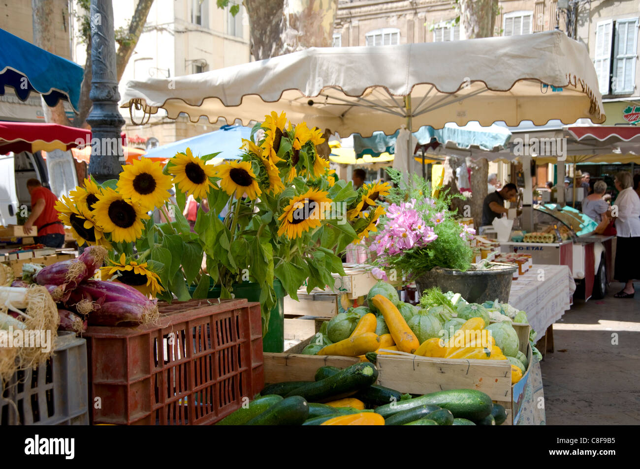 Sunflowers and vegetables on sale in a weekly market in Town Hall
