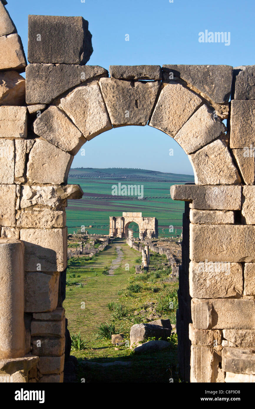 Morocco, North Africa, Africa, Roman, ruins, Voulibilis, antiquity