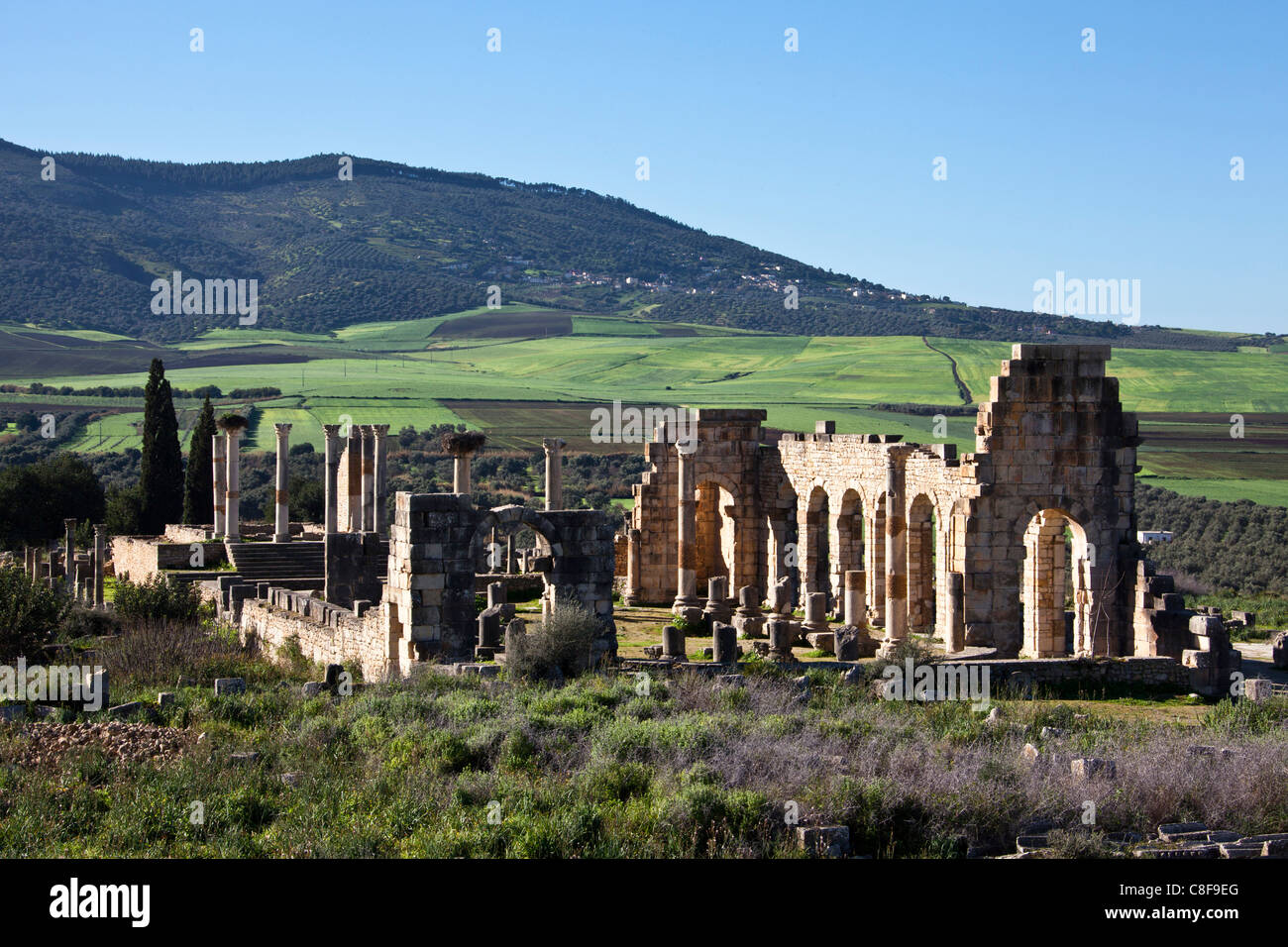 Morocco, North Africa, Africa, Roman, ruins, Voulibilis, antiquity, ancient world, basilica Stock Photo