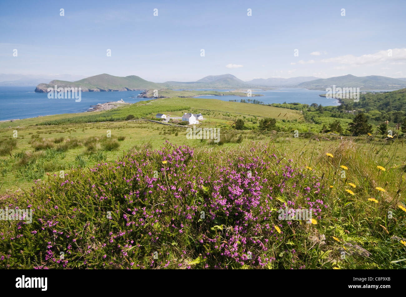 Valentia Island, Ring of Kerry, County Kerry, Munster, Republic of Ireland Stock Photo