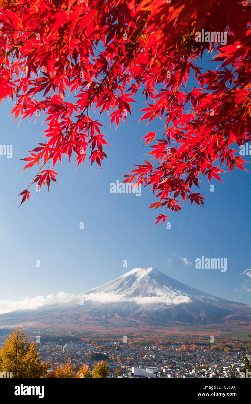 Japan, November, Asia, mountain Fuji, Fuji, maple, red, Japanese, maple, Momiji, snow, scenery Stock Photo