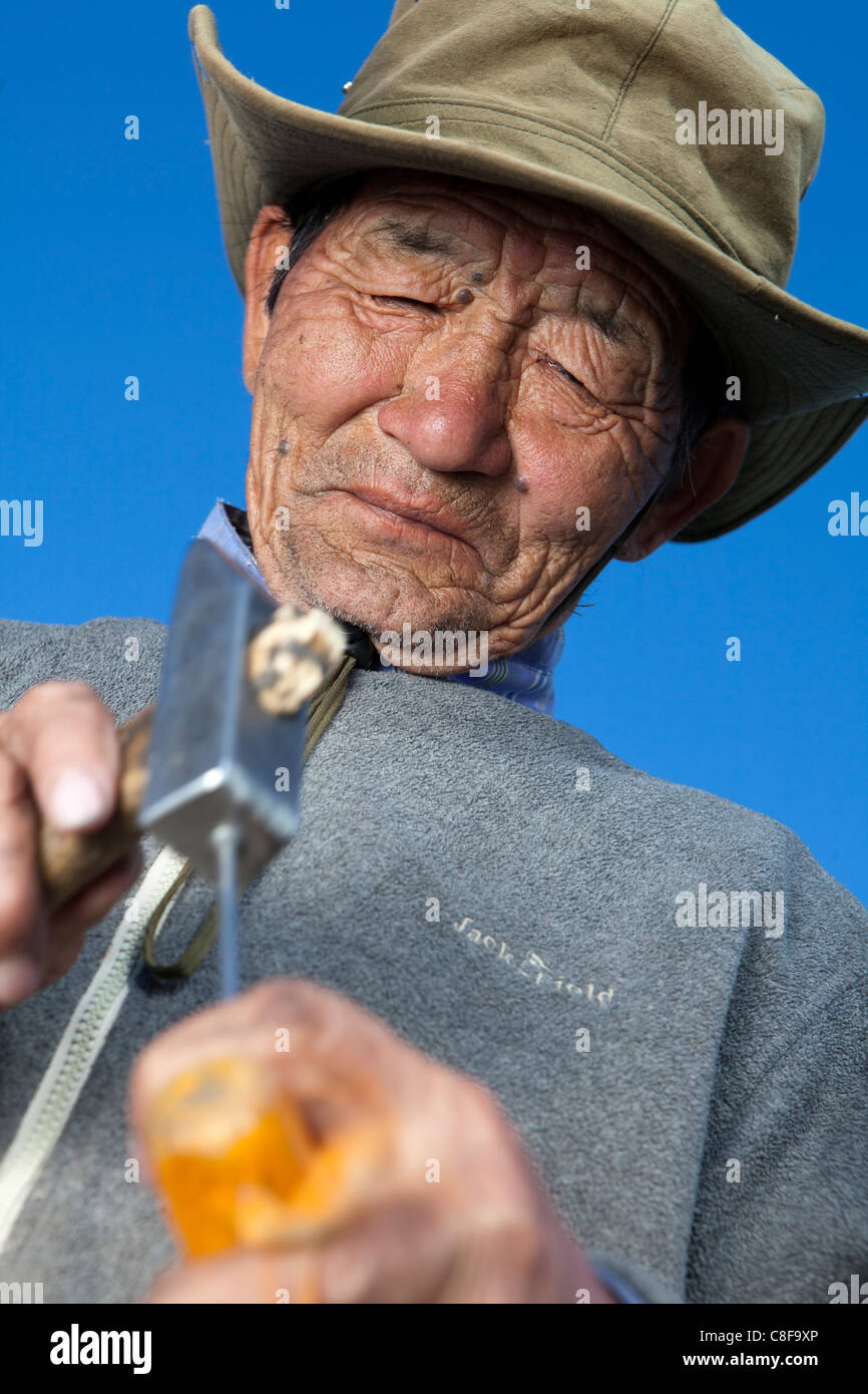 Mongolian old man trying to fix ger rafter, Tsagaan Nuur, Khovsgol, Mongolia Stock Photo