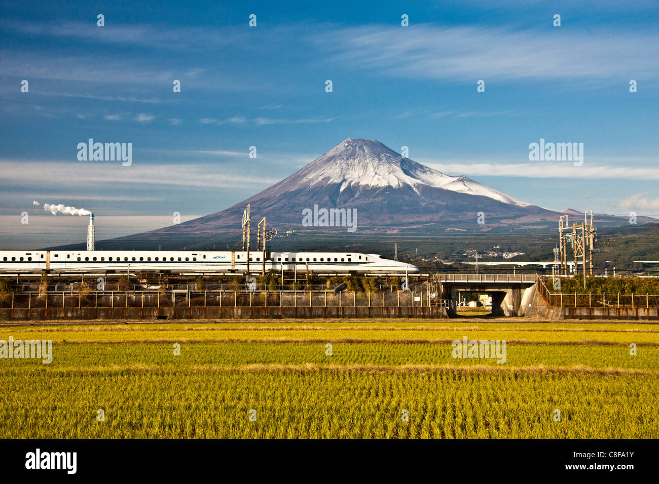 Japan, November, Asia, Fuji, city, mountain Fuji, high-speed train, Shinkansen, scenery, agriculture, rice field, growing of ric Stock Photo