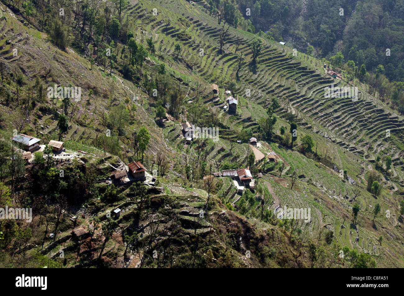 Aerial view terracing on hillside south eastern Sikkim India Stock Photo