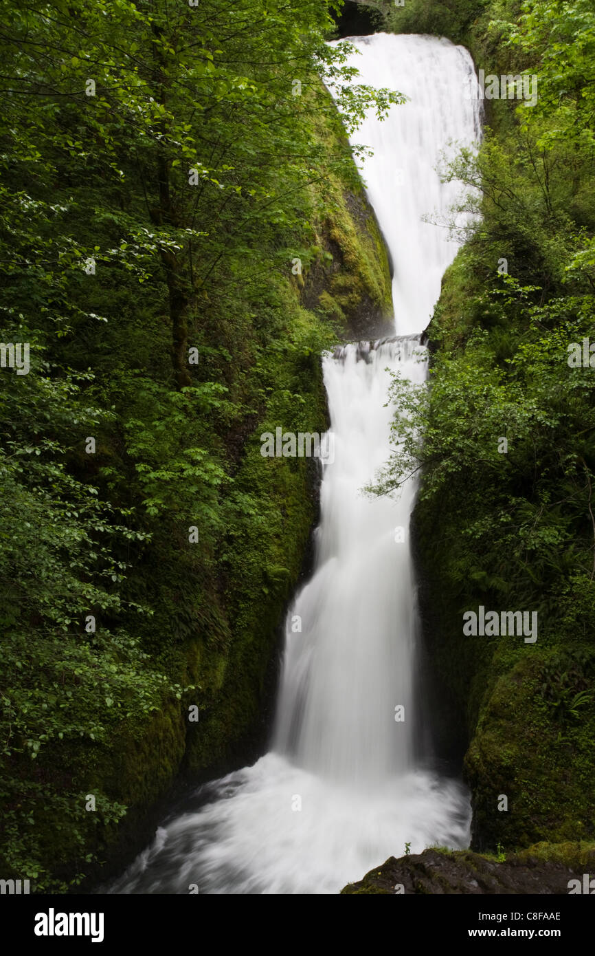 Bridal Veil Falls, Columbia River Gorge, Oregon, United States of America Stock Photo