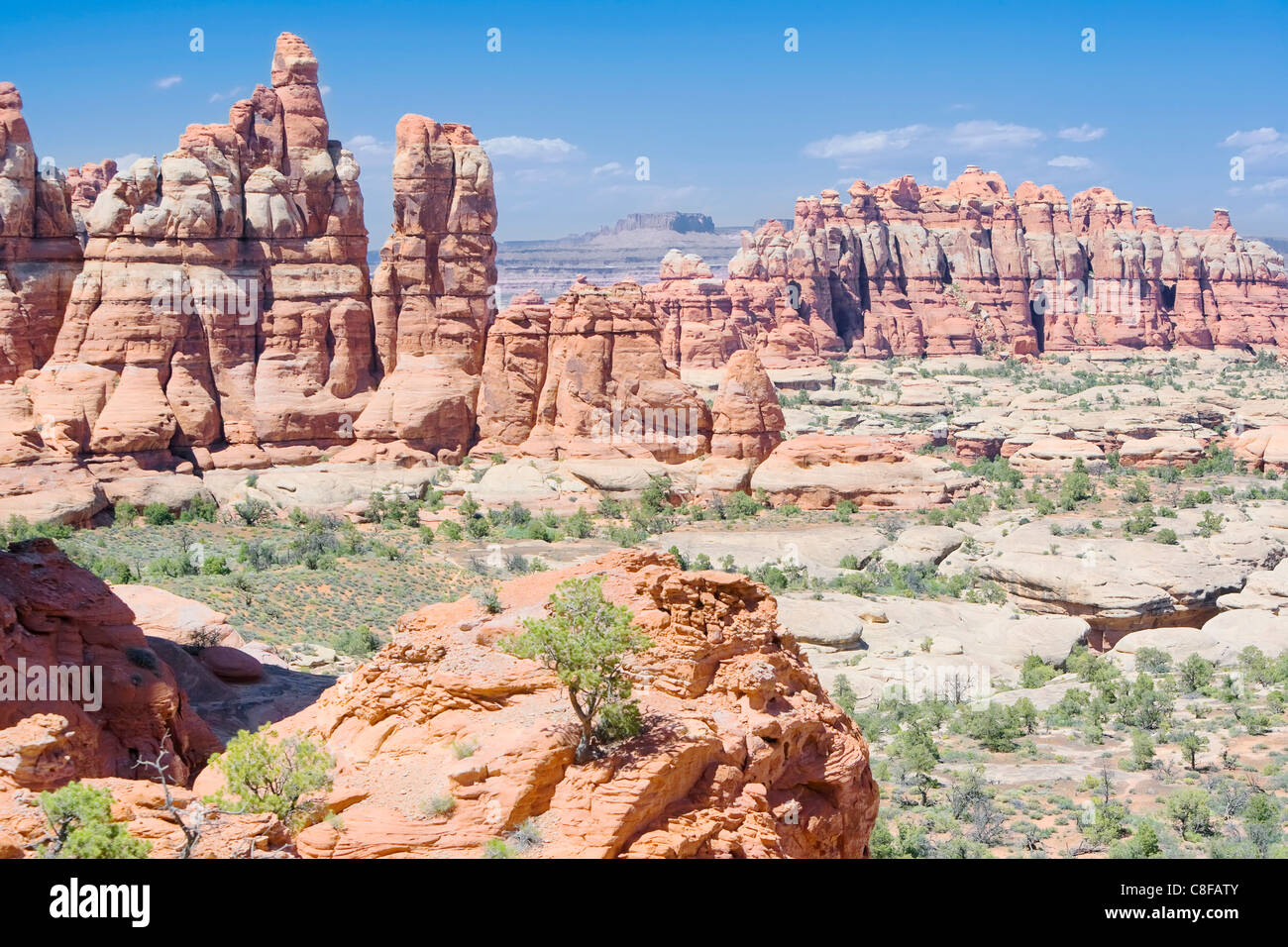 Rock formations in The Needles, Canyonlands National Park, Utah, United States of America Stock Photo