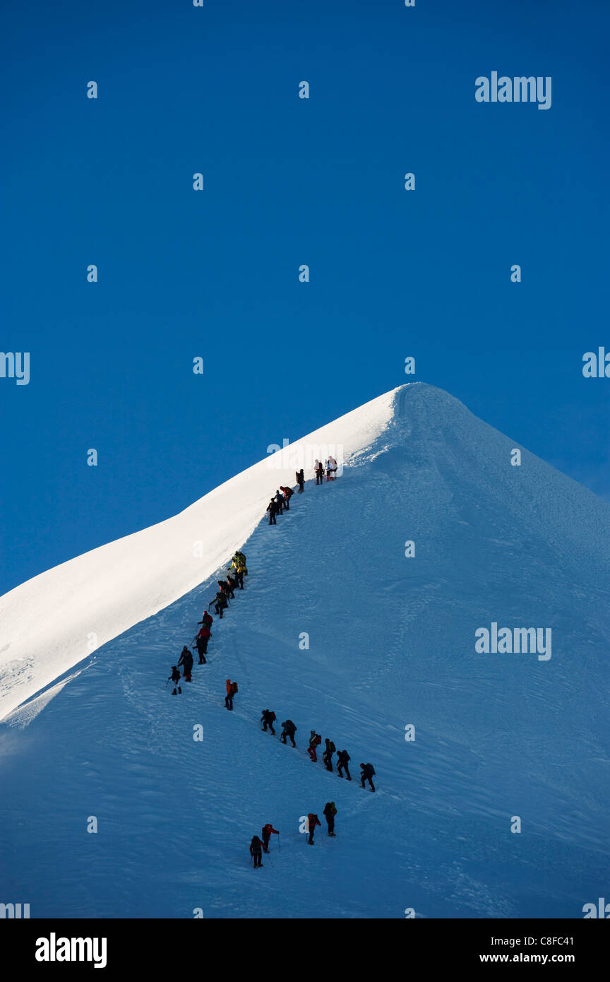 Long line of climbers on summit ridge of Mont Blanc, 4810m, Chamonix, French Alps, France Stock Photo