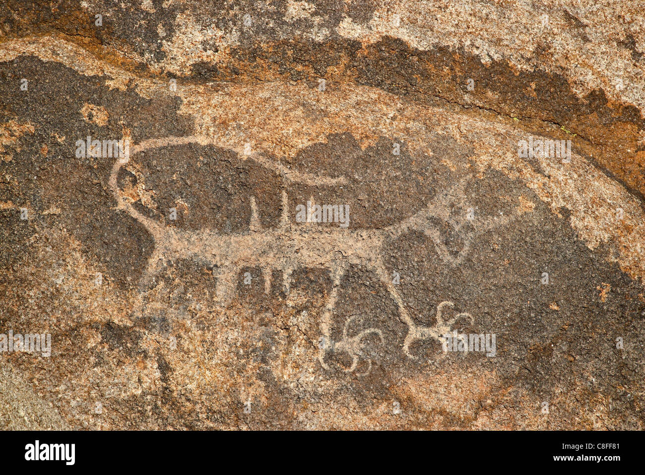 Petroglyph, Alabama Hills, Inyo National Forest, California, United States of America Stock Photo