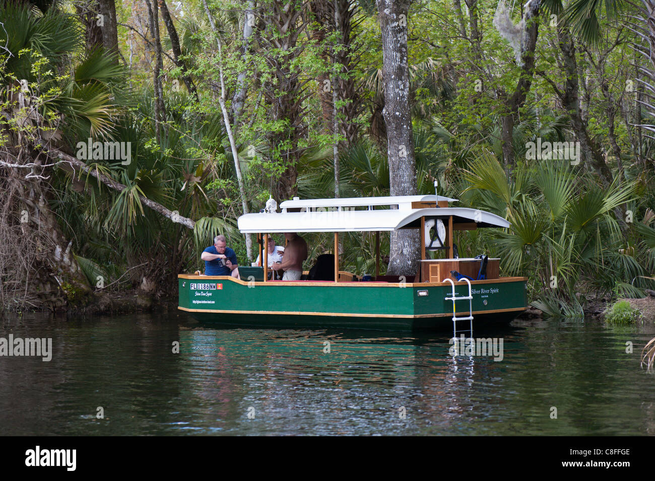 Men navigating the Silver River in a private glass bottom boat near
