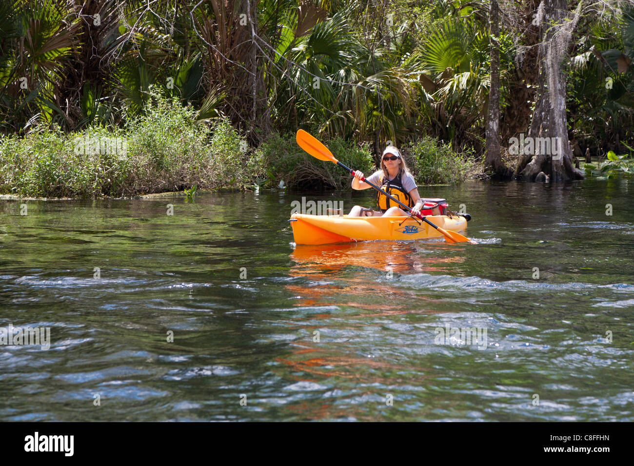 Young woman kayaking in orange kayak on Silver River near Silver Springs State Park in Ocala Florida Stock Photo