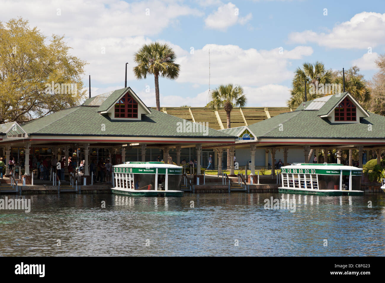 Park guests take glass bottom boat tour of the Silver River at Silver