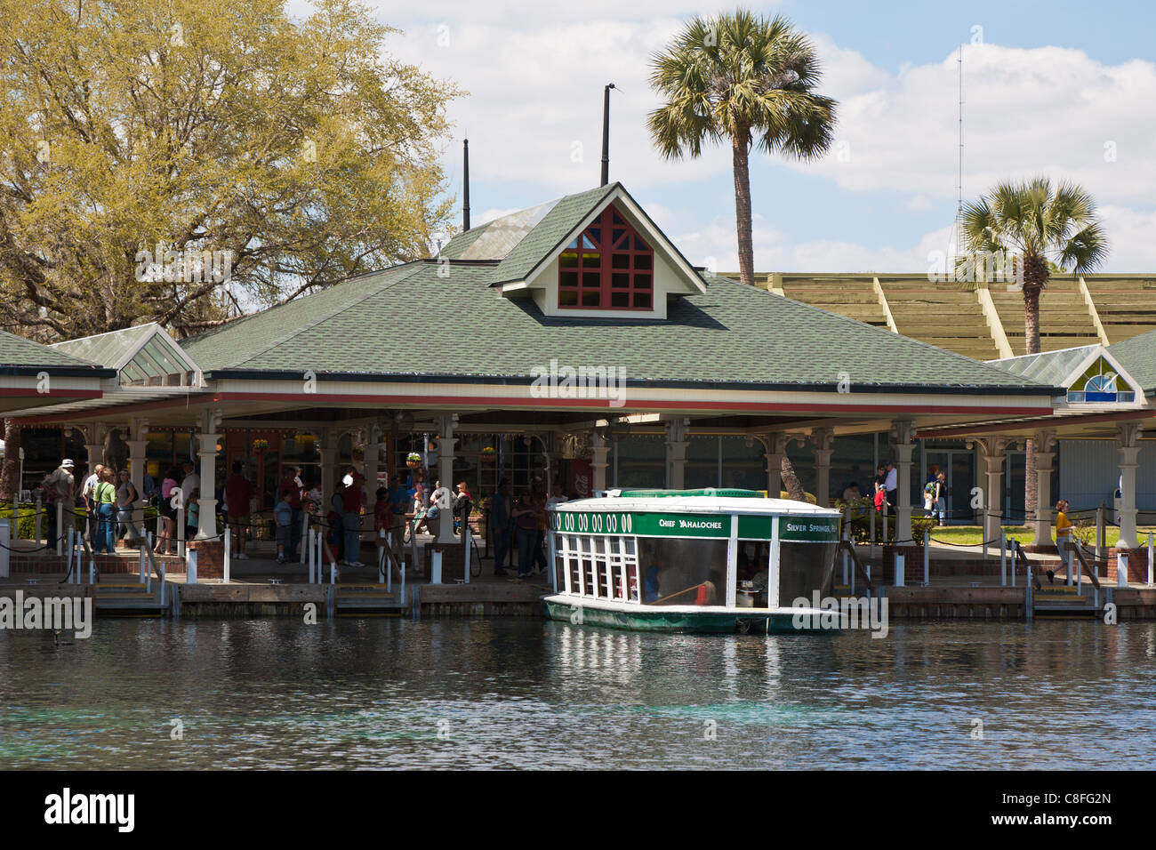 Park guests take glass bottom boat tour of the Silver River at Silver