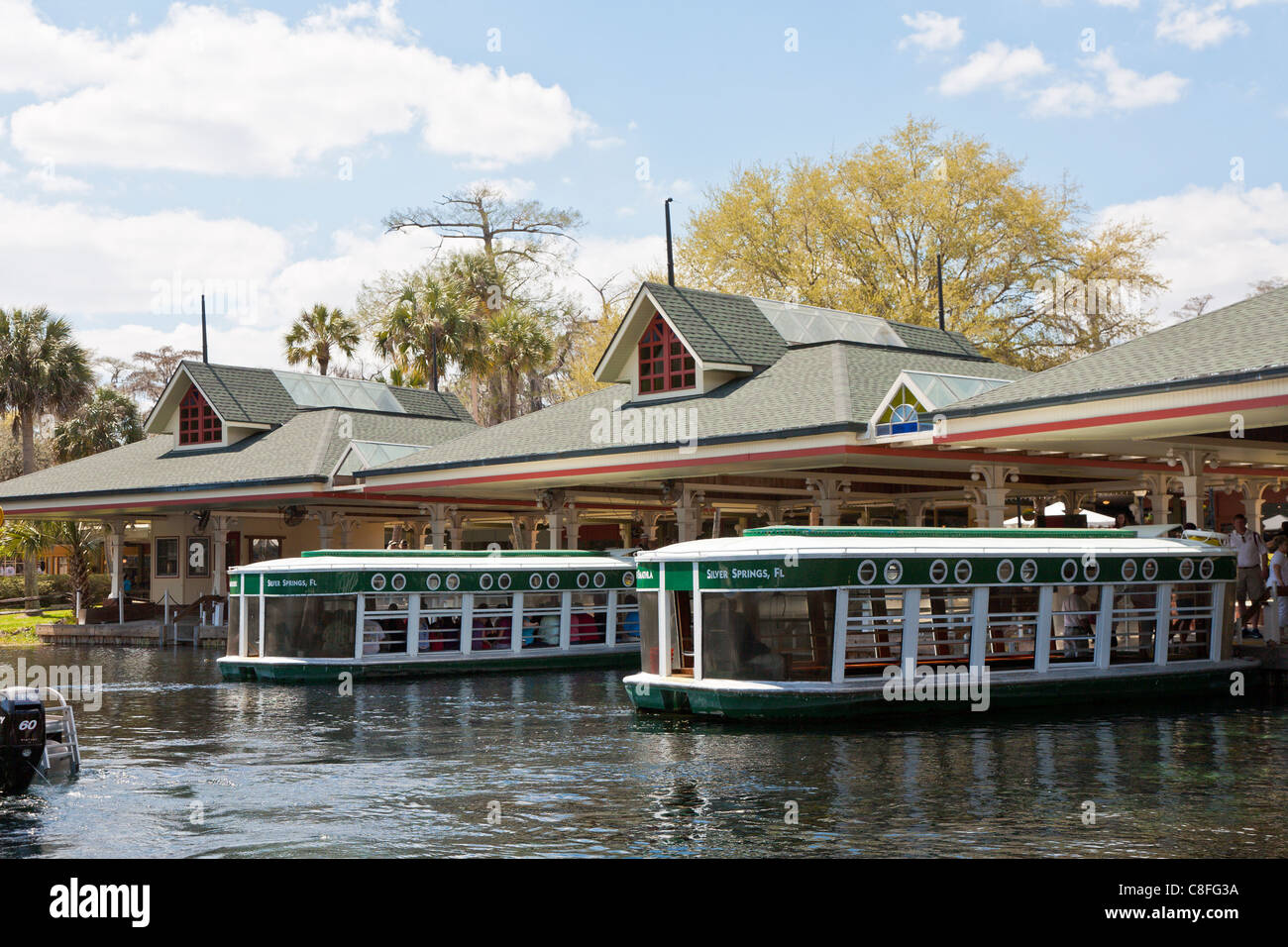 Park guests take glass bottom boat tour of the Silver River at Silver