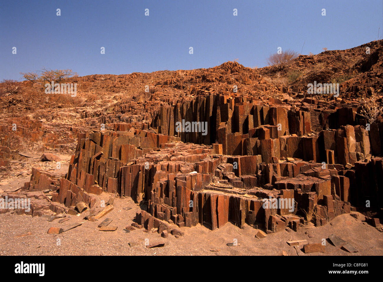 The Organ Pipes, dark brown intrusive dolerite, near the Burnt Mountain ...