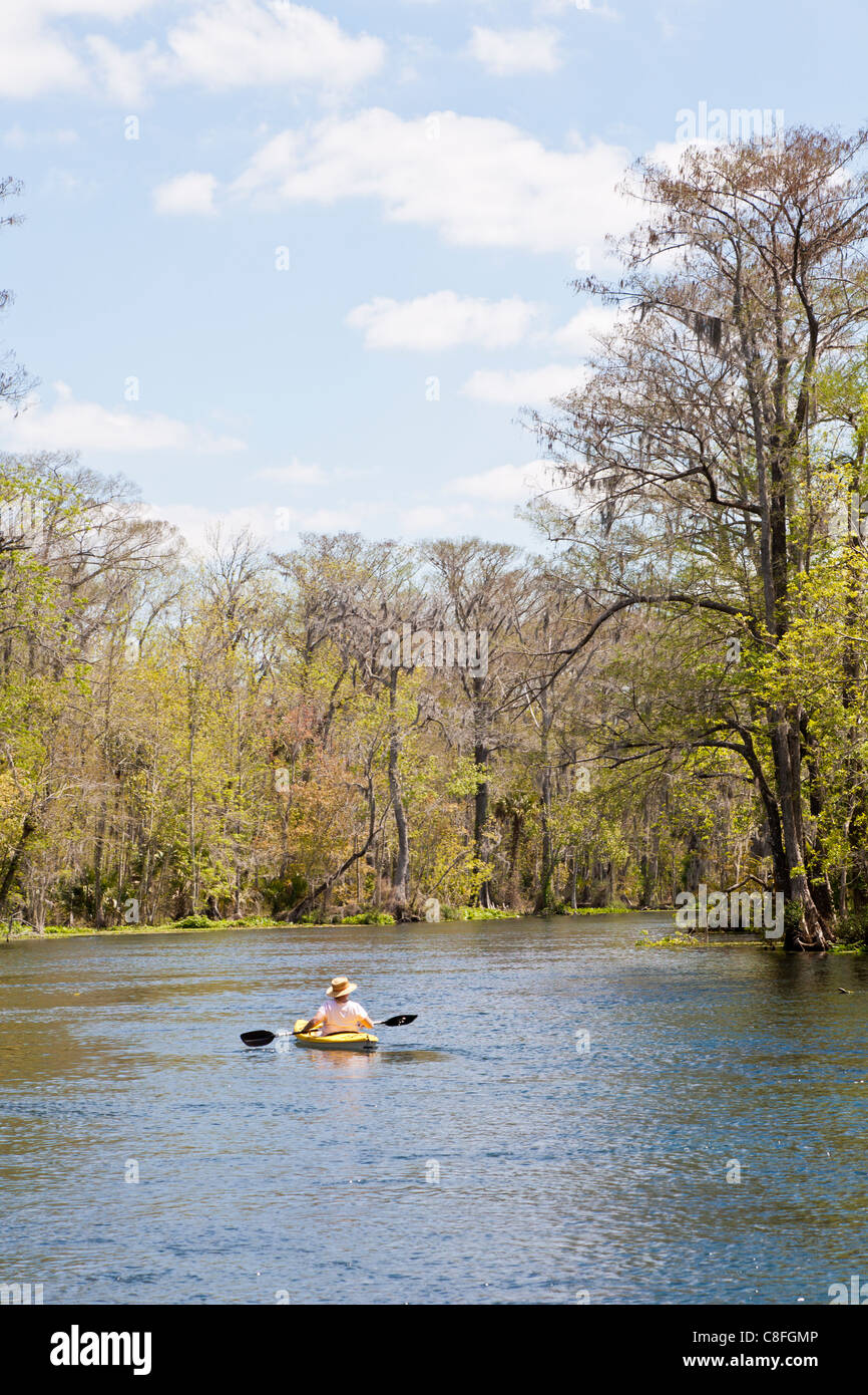 Man kayaking on Silver River near Silver Springs Attractions in Ocala Florida Stock Photo